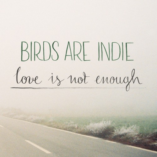 Love is not enough, de Birds Are Indie